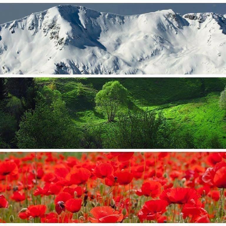 Апартаменти Ковачева-2 Bansko Eksteriør billede